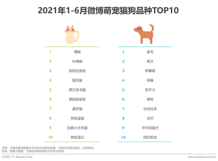 宠物行业发展白皮书怎么写，2021年中国宠物内容价值研究白皮书