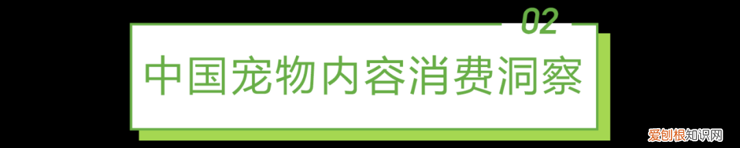 宠物行业发展白皮书怎么写，2021年中国宠物内容价值研究白皮书