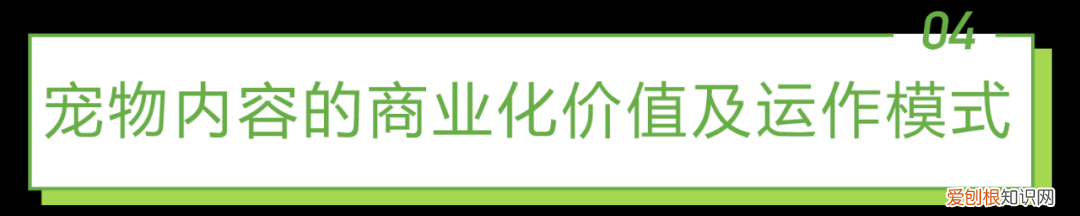 宠物行业发展白皮书怎么写，2021年中国宠物内容价值研究白皮书