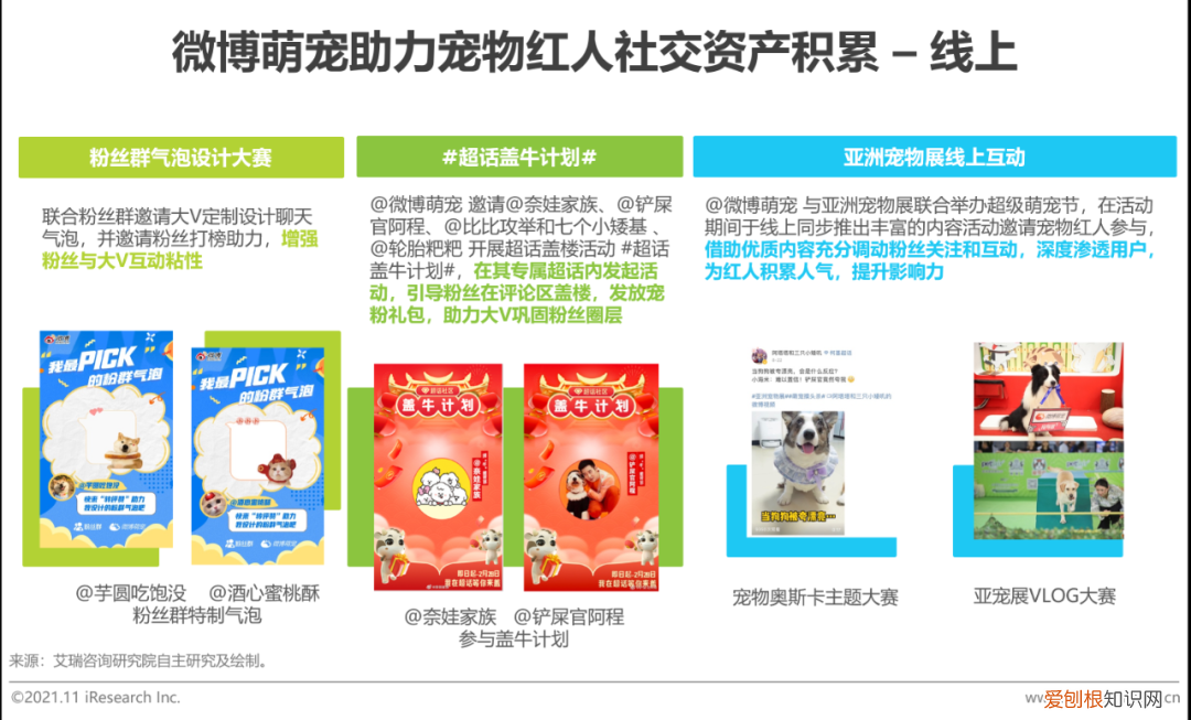 宠物行业发展白皮书怎么写，2021年中国宠物内容价值研究白皮书