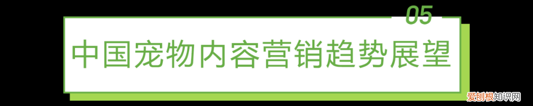 宠物行业发展白皮书怎么写，2021年中国宠物内容价值研究白皮书