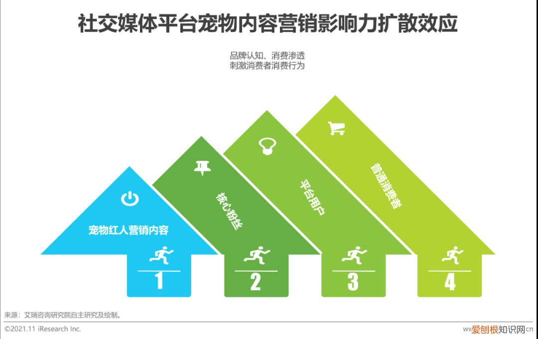 宠物行业发展白皮书怎么写，2021年中国宠物内容价值研究白皮书