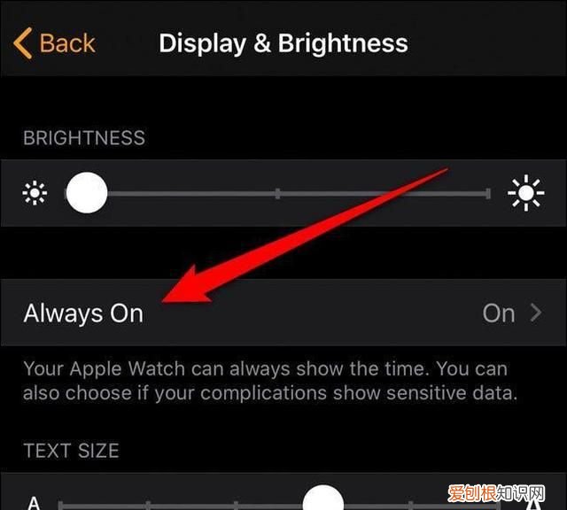 如何关闭apple watch的常亮功能