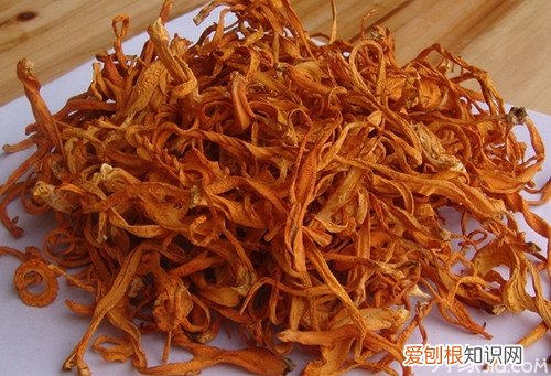 蛹虫草怎么吃	蛹虫草怎么吃