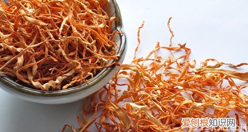 蛹虫草怎么吃	蛹虫草怎么吃