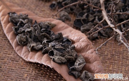 带你真正了解野生木耳和人工木耳的区别，带你真正了解野生木耳和人工木耳的区别的英文