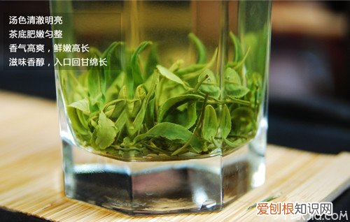 云雾茶怎么泡 云雾茶的冲泡方法