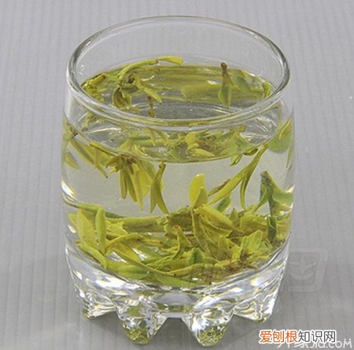 云雾茶怎么泡 云雾茶的冲泡方法