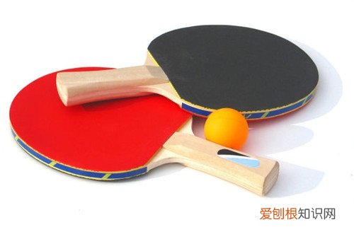 什么牌子的乒乓球拍最好看看就知道