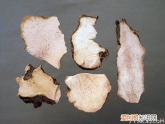 土茯苓的药理作用 土茯苓使用须注意