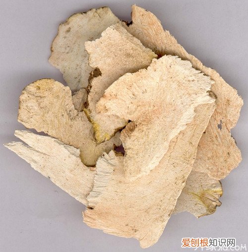 土茯苓的药理作用 土茯苓使用须注意