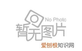 葡萄树可以种在盆里吗?，捡了一截“葡萄桩”，埋在花盆里，15天猛抽新芽，还结了小葡萄