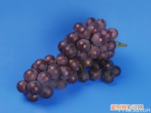 巨峰葡萄的营养价值 食用巨峰葡萄的注意事项