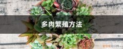 多肉的繁殖方法 多肉繁殖方法，多肉怎么繁殖