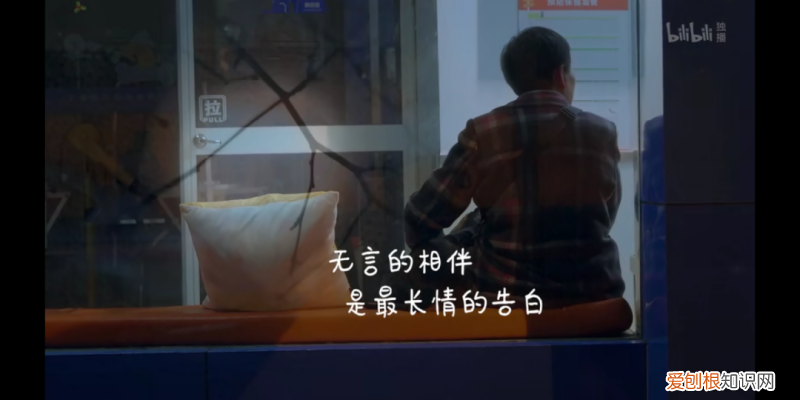 我的宠物狗死了好伤心，被自家宠物气死的第N天，我真的忍不住安利这档节目了