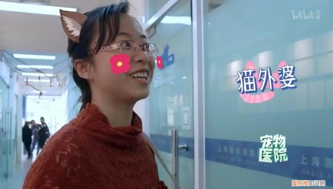 我的宠物狗死了好伤心，被自家宠物气死的第N天，我真的忍不住安利这档节目了