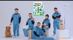 我的宠物狗死了好伤心，被自家宠物气死的第N天，我真的忍不住安利这档节目了