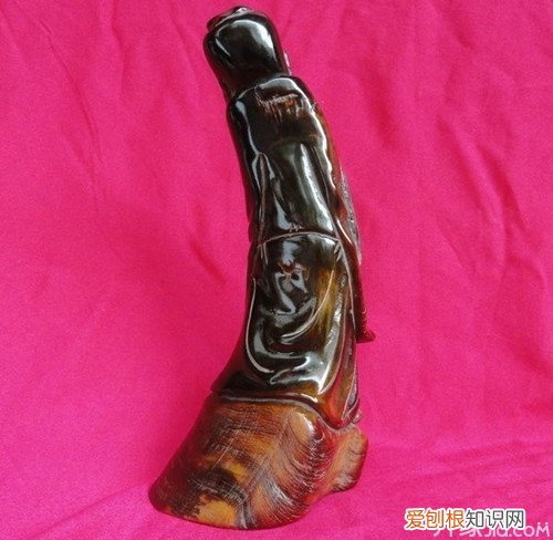犀牛角的功效与作用及食用方法，犀牛角的功效与作用及食用方法图片