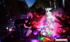 世园会奇幻光影森林,奇幻光影森林北京世园会