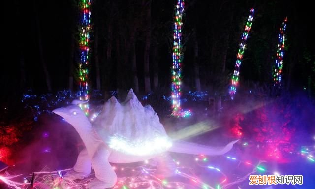 世园会奇幻光影森林,奇幻光影森林北京世园会