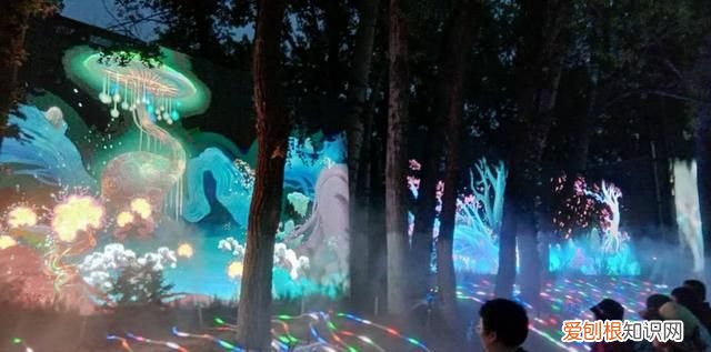 世园会奇幻光影森林,奇幻光影森林北京世园会