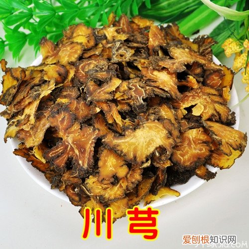 川芎图片 川芎的鉴别方法与功效作用