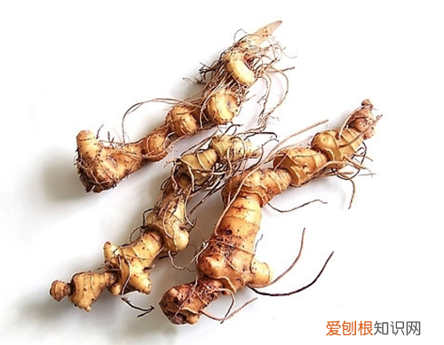 黄精怎么吃保证你吃了精气神十足