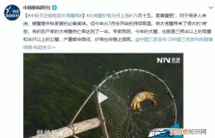 买回来的螃蟹放家里死了可以吃吗