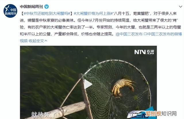 买回来的螃蟹放家里死了可以吃吗