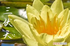 2023年三伏天是啥时候
