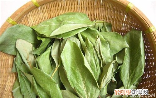 柿子叶怎么去斑有斑的朋友赶紧试试
