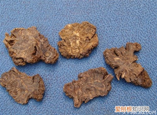 川芎怎么吃 这么便宜的东西还能治百病