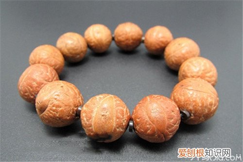 【文玩知识】凤眼菩提子怎么清理及选购技巧，凤眼菩提怎么去皮