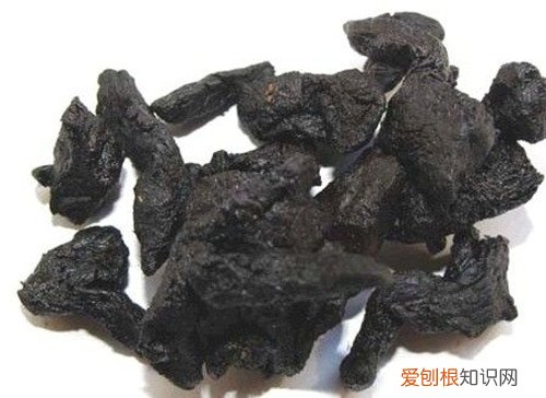 熟地黄怎么吃看完你就能做出适合自己的那道了