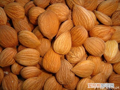 苦杏仁怎么去苦味 医生提醒:苦味果仁不要生吃