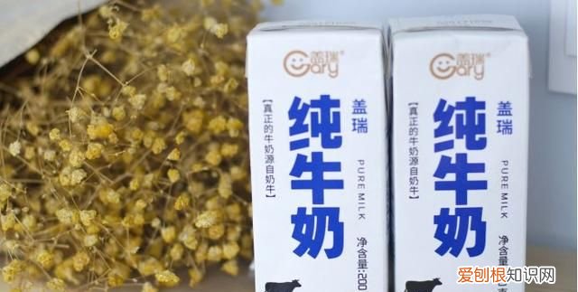 天润牛奶的多种吃法,天润牛奶的食用方法