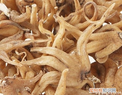 佛手参怎么吃 佛手参的家常做法