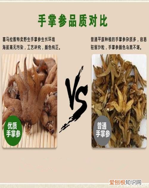 佛手参怎么吃 佛手参的家常做法