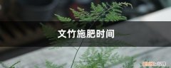 文竹的施肥方法如下 文竹施肥时间，怎样给文竹施肥