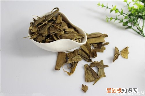 银杏叶茶药用价值高 防治心脑血管疾病有奇效