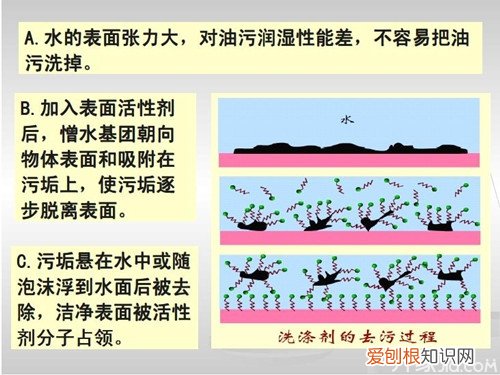 解析：表面活性剂的应用及原理，解析:表面活性剂的应用及原理是什么