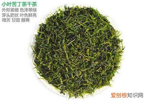 小叶苦丁茶价格 小叶苦丁茶和大叶苦丁茶的区别