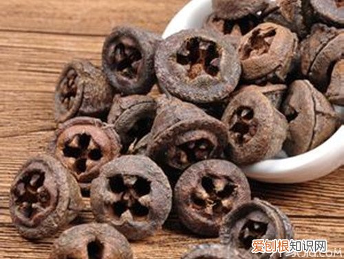 一口盅的功效与作用一口盅的形态特征