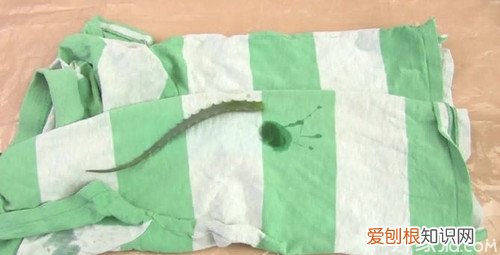 衣服上的油渍怎么洗 一分钟教你轻松解决