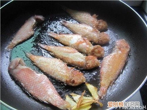 鹦哥鱼的做法 好吃到停不下来