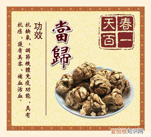 当归片可以泡水喝吗 当归片泡水喝的好处