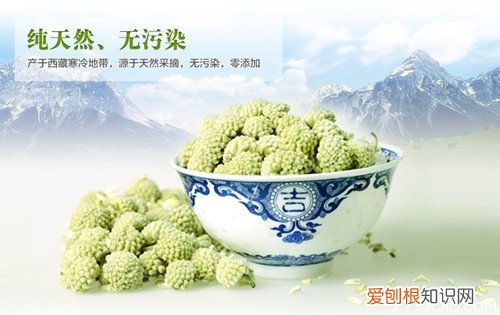 绿萝花的功效与作用及食用方法，绿萝花有什么功效与作用