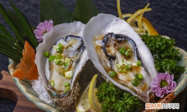 海蛎子怎么清洗，该如何将海蛎清洗干净