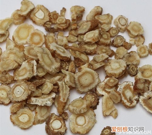 北沙参和南沙参的区别看完你就明白