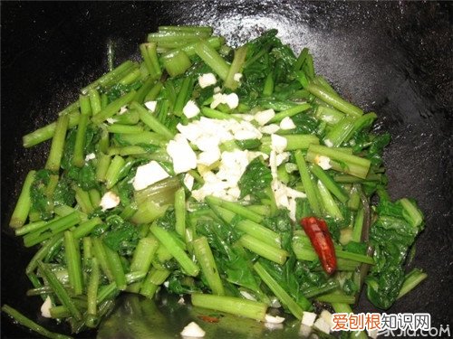君达菜的做法 超级划算的补血菜